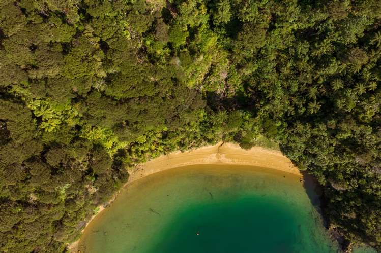 Cherry Bay, Ruakaka Bay Marlborough Sounds_5