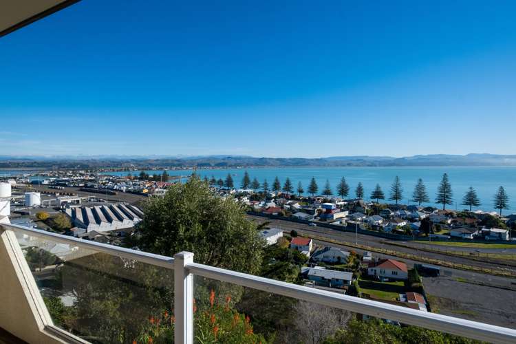 42 Roslyn Road Bluff Hill_14