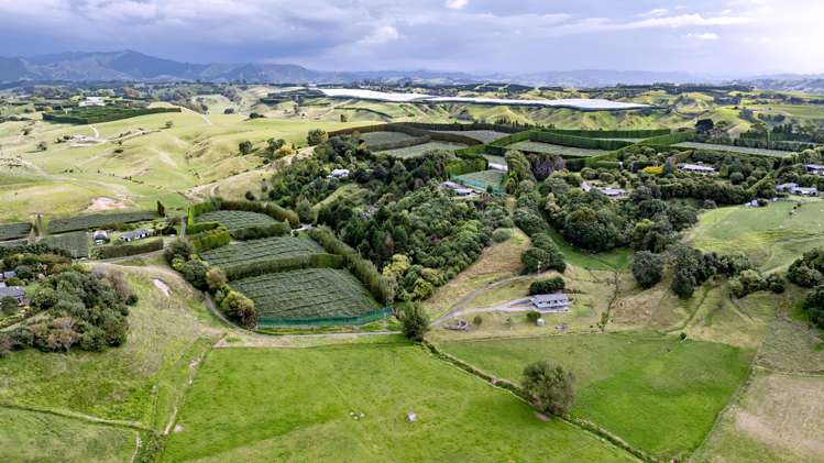 70A Thompson Road Waiotahe_37