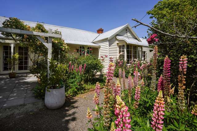 15 Terrace Road Leithfield_3