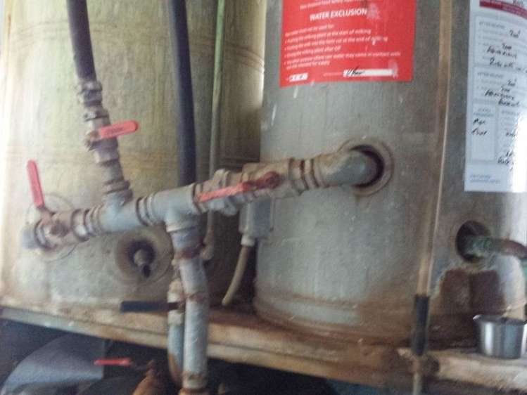 1102 Mangorei Road Mangorei_11