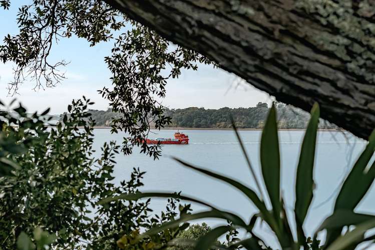 10 Clouston Street Glendowie_10