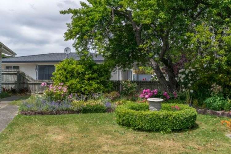 73 Howick Road Redwoodtown_11