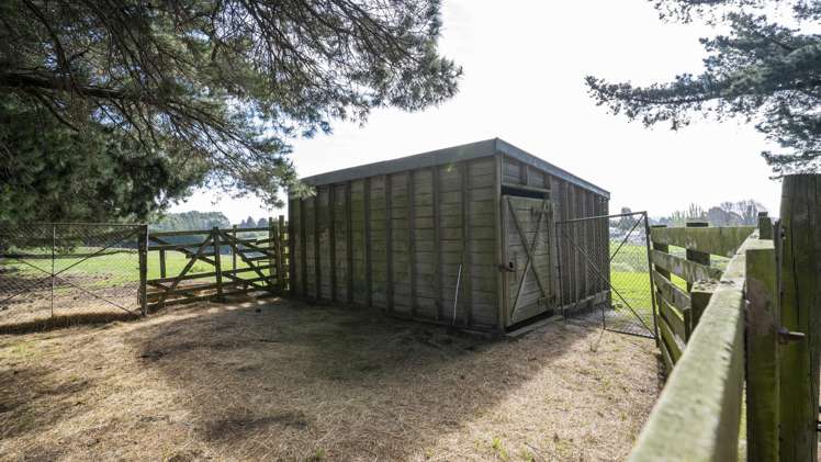 42 Falcon Street Palmerston_27