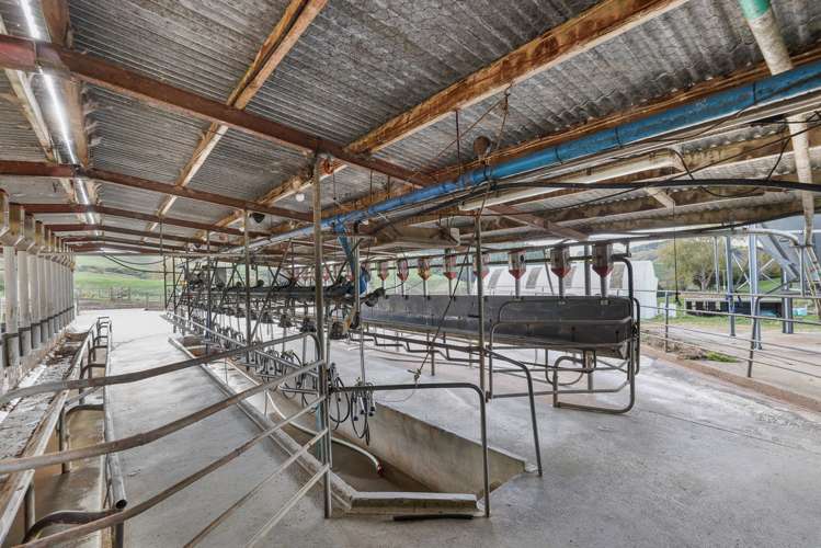 484 Newman Road Wharepuhunga_13