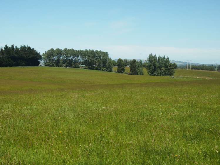 210 Terry Road Gore_14