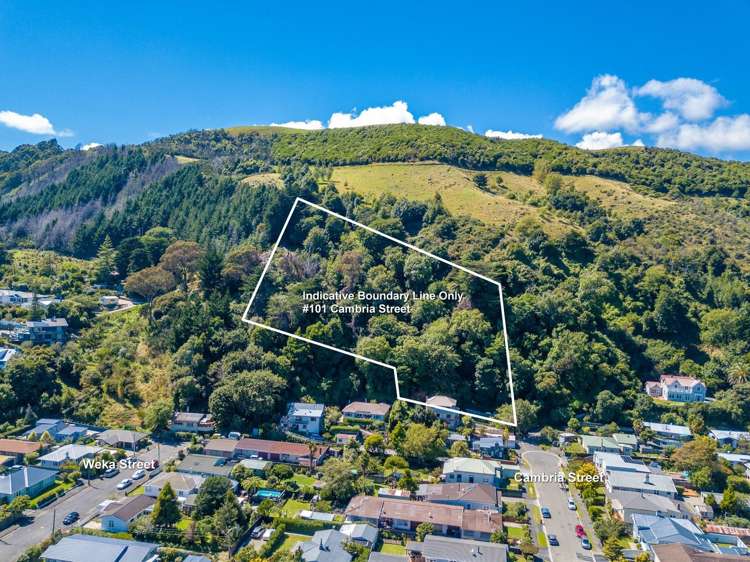 101 Cambria Street The Wood_0