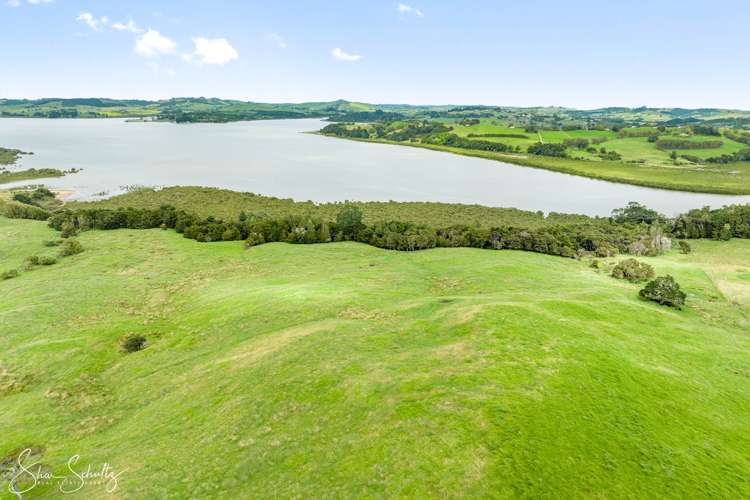 Pahi Road Paparoa_24