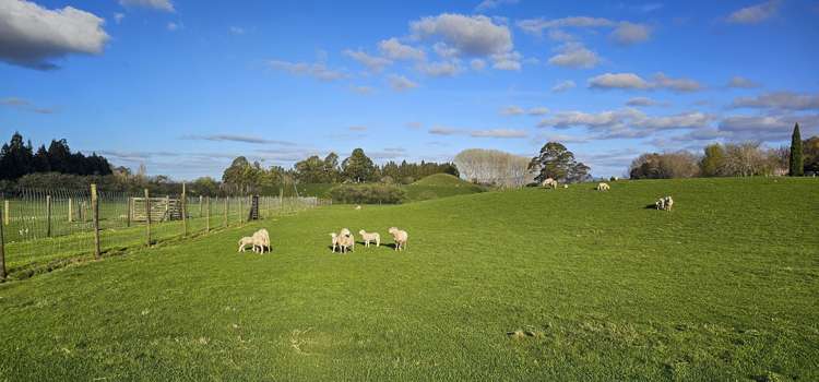 94 Oturoa Road Hamurana_12