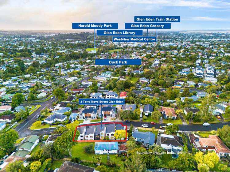 3D Terra Nova Street Glen Eden_10