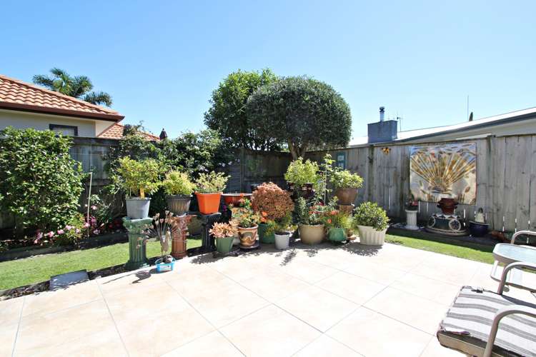 27a Pembroke Street Taradale_5