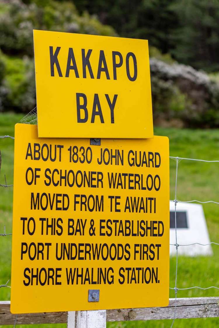 Kakapo Bay Port Underwood_5