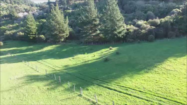 Harrison Street Featherston_3