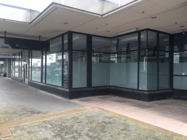 711 Victoria Street Hamilton Central_1