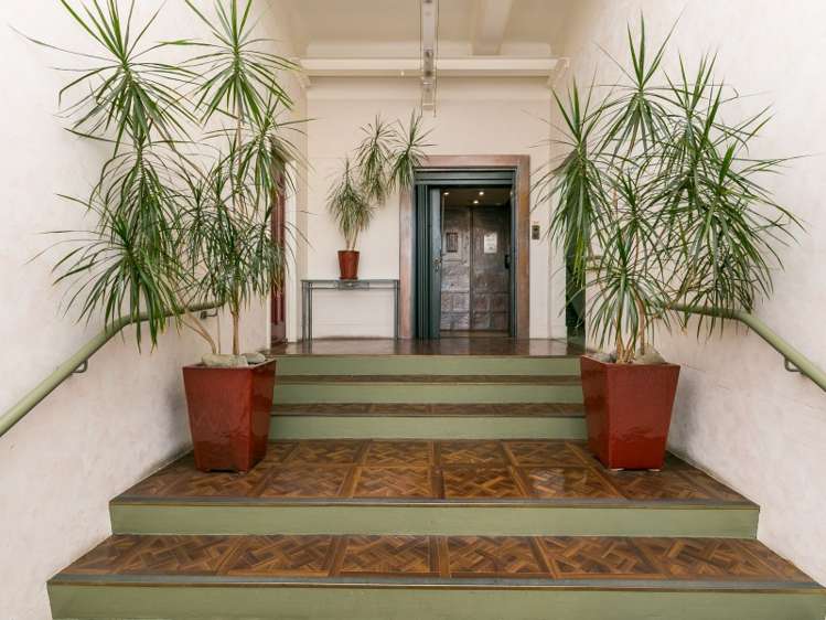 1/37 Majoribanks Street Mount Victoria_13