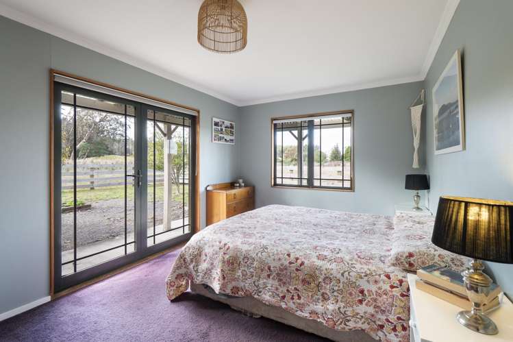 363 Brandon Hall Road Bulls_14