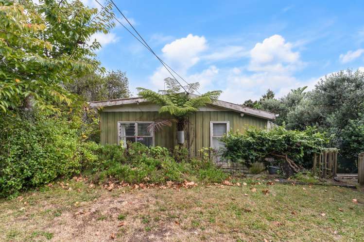 59 Seabrook Avenue New Lynn_11