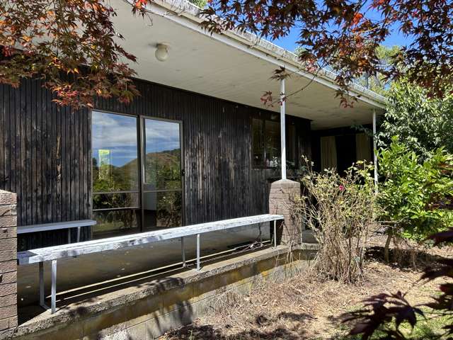 19 Rimuputa Road Tahora_2