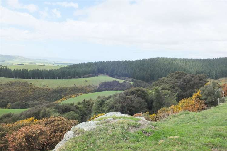 Duncan Road Hampden_1