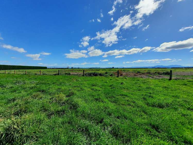 559 Timaru - Temuka Highway Levels_4