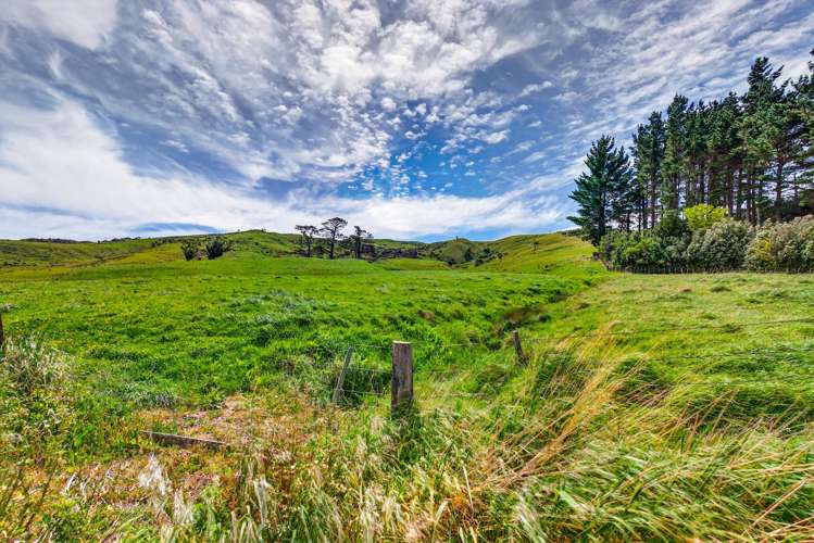 453 Whangaehu Road Porangahau_18