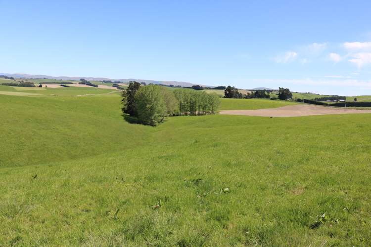 428 Wairuna Settlement Road Clinton and Surrounds_10