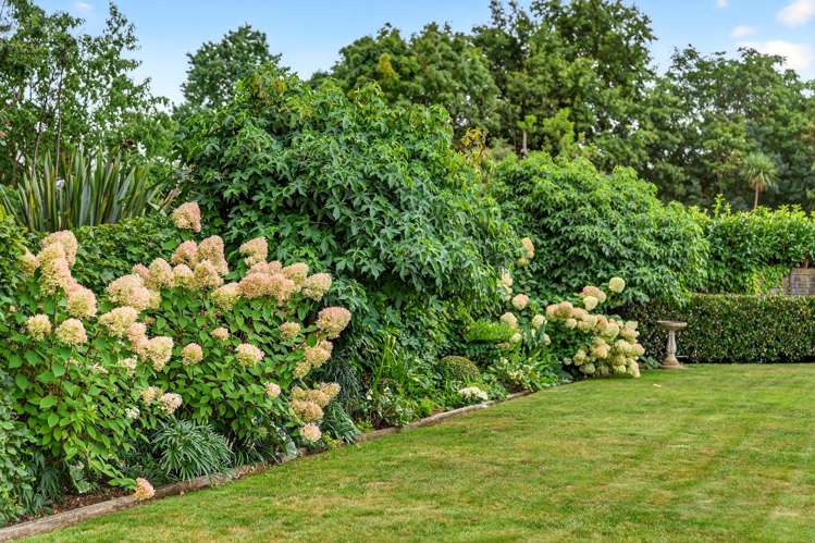 63 Wood Street Greytown_24