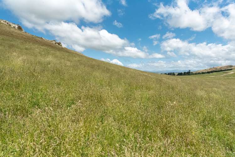 136 Mcraes Road Waikari_2