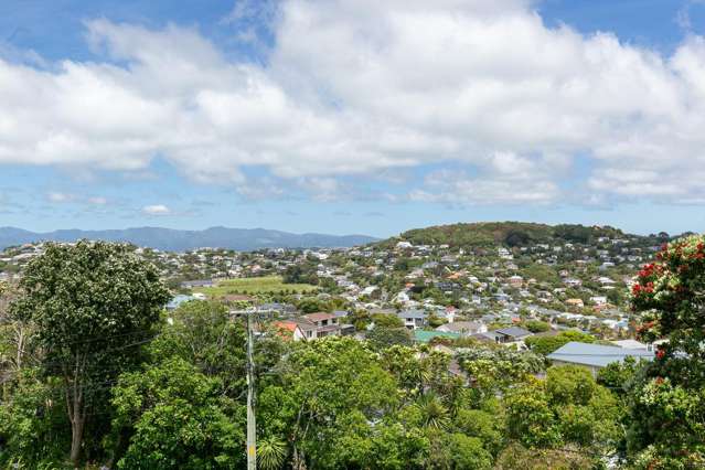 91 Fox Street Ngaio_1