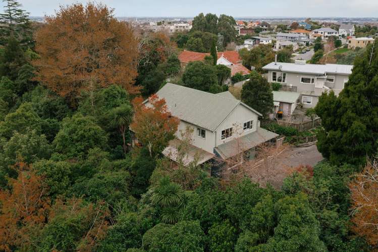 8a Williams Terrace Fitzherbert_30