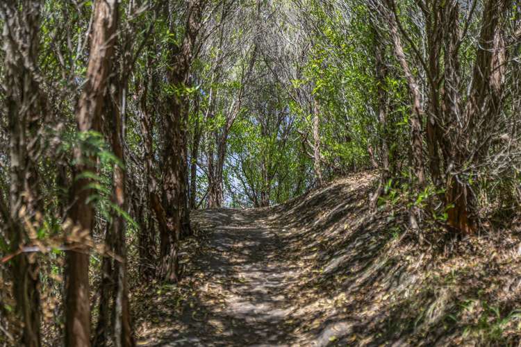 24 Talisman Heights Kaiteriteri_6