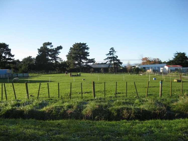 10 Spring Street Foxton_2