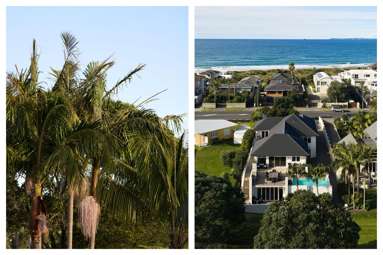184 Oceanbeach Road_3