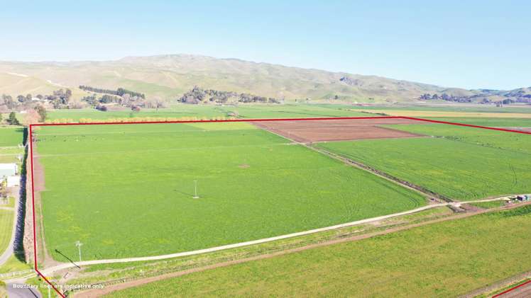 85 West Road Havelock North_5