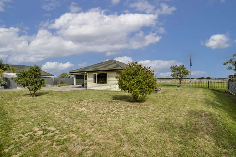 44 Mcnaughton Place Onekawa_8