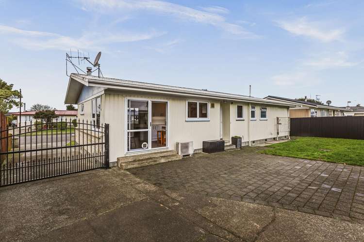 31 Plunket Street Tamatea_12