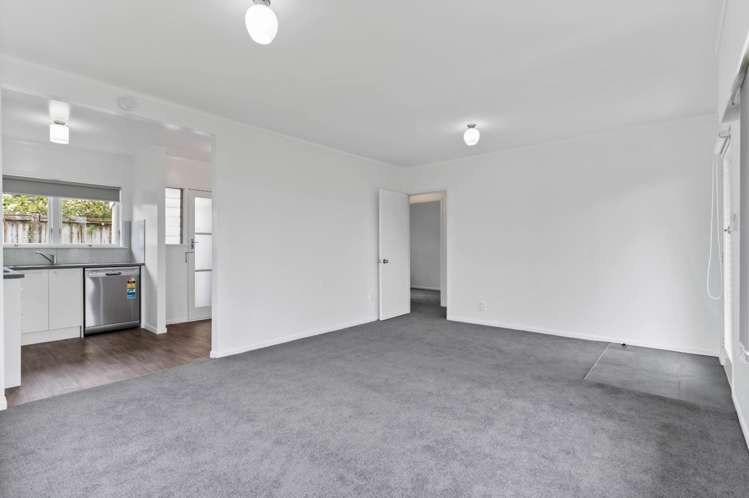 1/2 Marsden Avenue Mount Eden_8