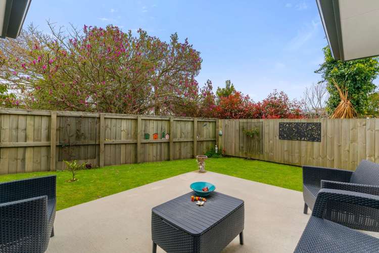 114b Otonga Road Springfield_16