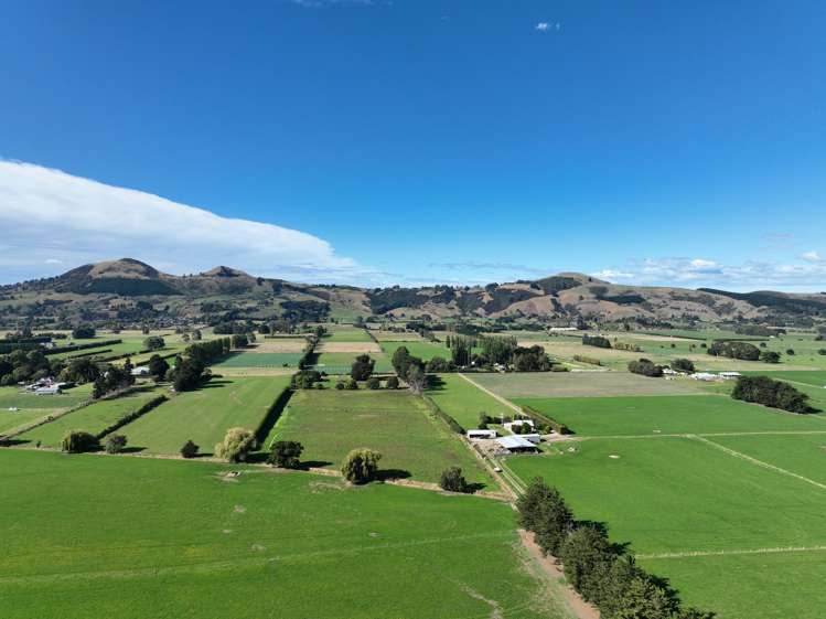 310 Bush Road Mosgiel_8