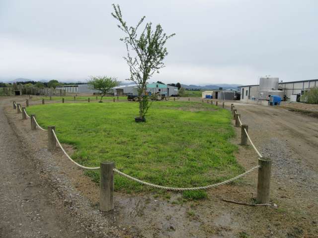 142 Paget Road Rangitikei Surrounds_2