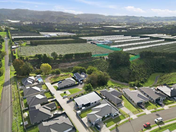 73 Tynan Street Te Puke_19