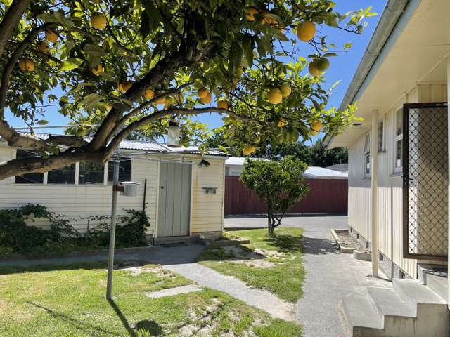 8 Salisbury Avenue Tamatea_1