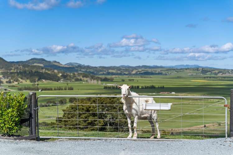 361 Apotu Road Kauri_31