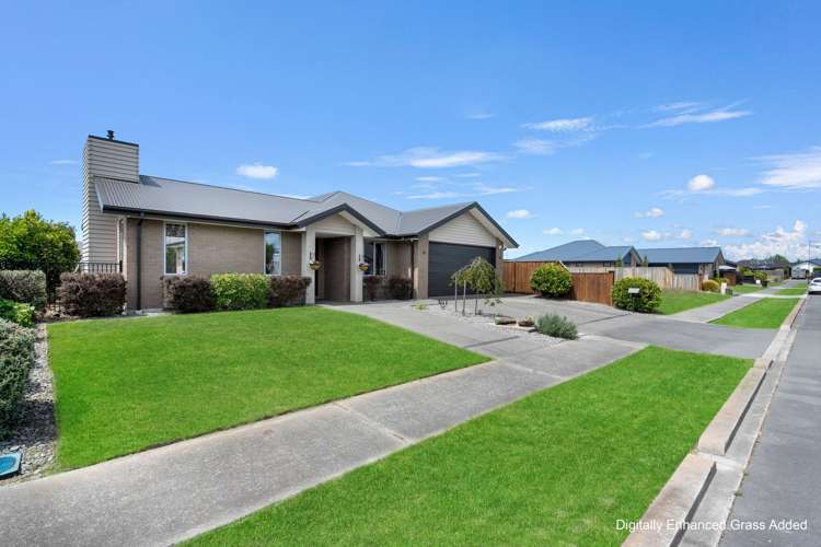 10 Pahua Street Pegasus_30