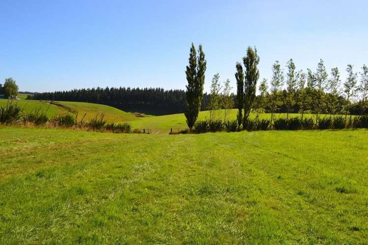 165 Waitepeka Road Catlins Surrounds_11