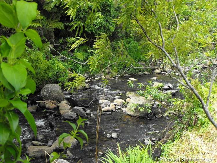 29 Alderton Drive Kerikeri_8