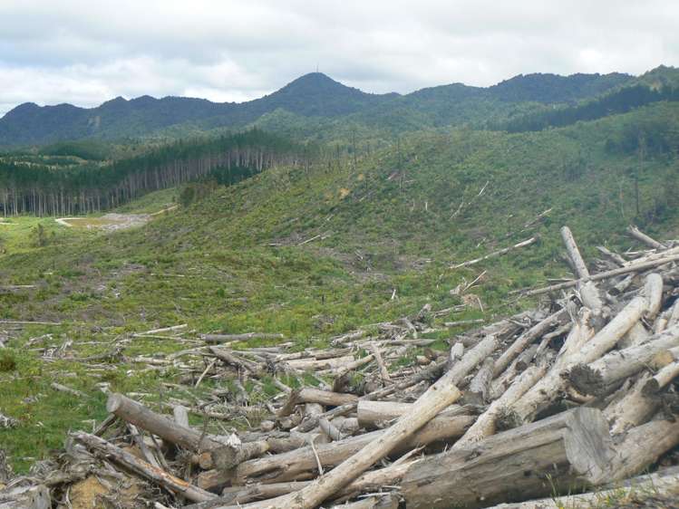 Lot 65 Stoney Creek Road Mangamuka_1