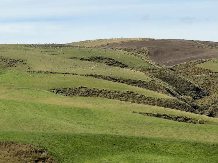 665-901 Tima Burn Road Teviot_34