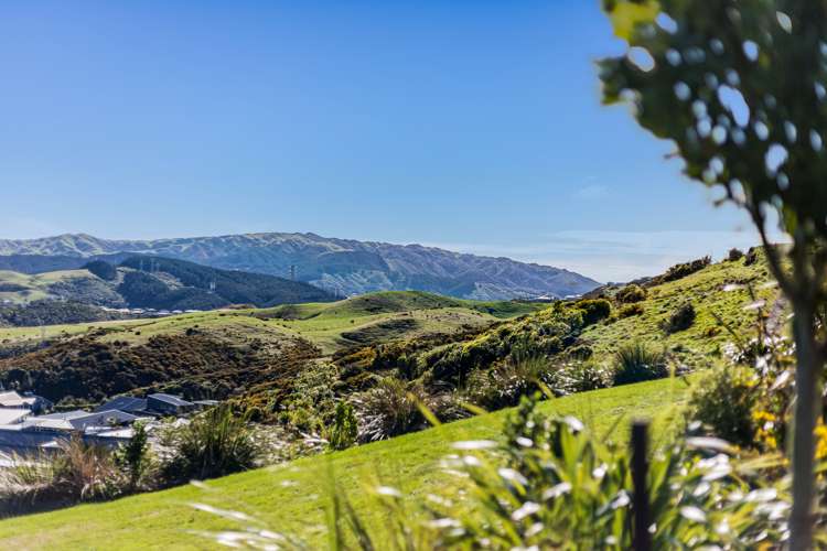 38 Astelia Way Woodridge_18