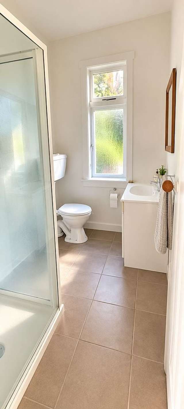 6 Semeloff Terrace Aro Valley_1